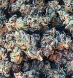 Skywalker