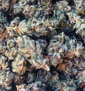 Skywalker