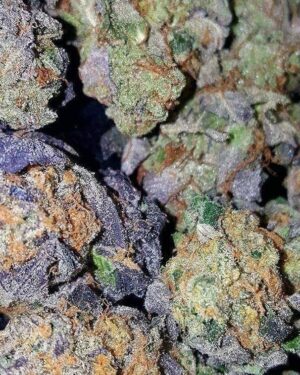 Super Silver Haze