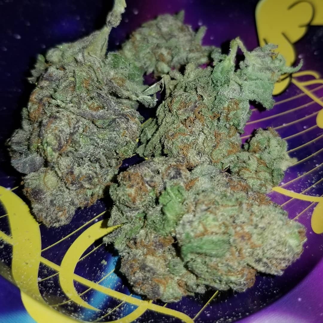 Blue Dream