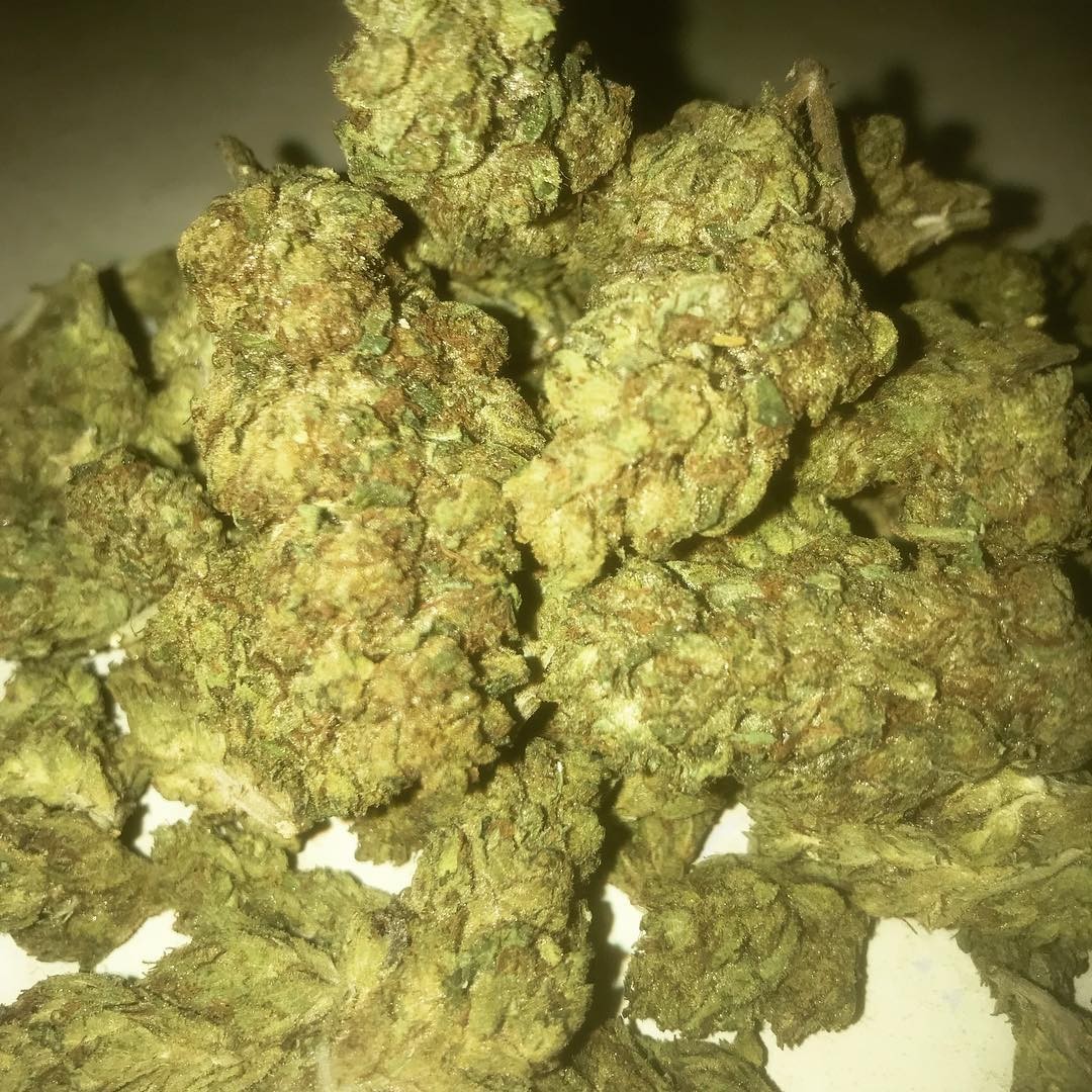 Buy XXX OG KUSH